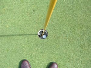 Hole In One from 208 Yards