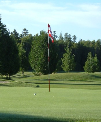 Ball Close to Hole
