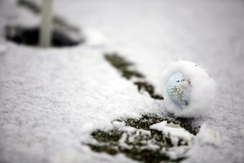 Snow Golf Ball Snow Golf Ball