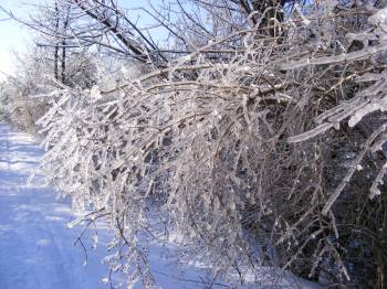 Beautiful Winters Day!