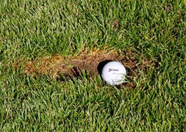 ball in divot