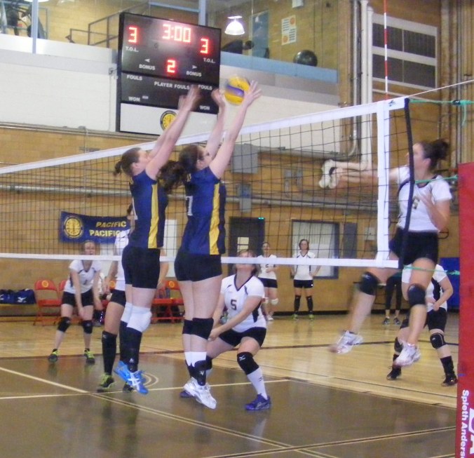 Blocking The Ball