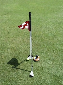 Base Playdowns 2014 club ball duck