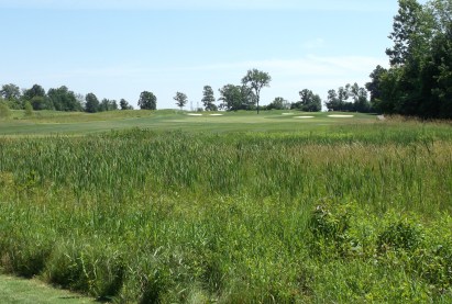 Par 4 - Over the Cabbage.