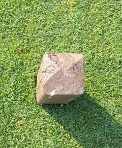 The uneven top of the far left post used to direct cart traffic from the green.