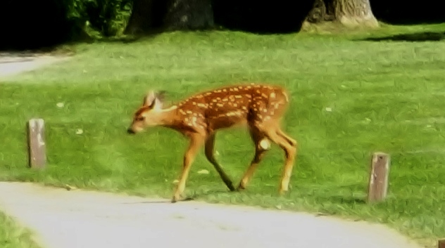 Roundel Glen 06 Jul 14 (13)