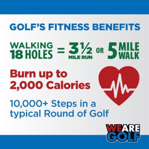 wag-infographic_2-edit_474x474