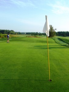 The Greens are Long and Narrow.