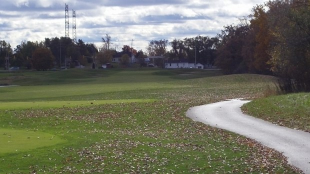 The leaves are an unexpected hazard in the fall!