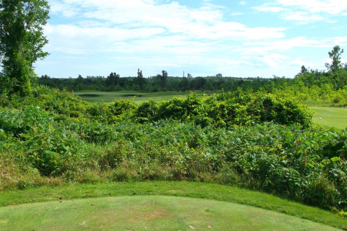 Loyalist Country Club (17)