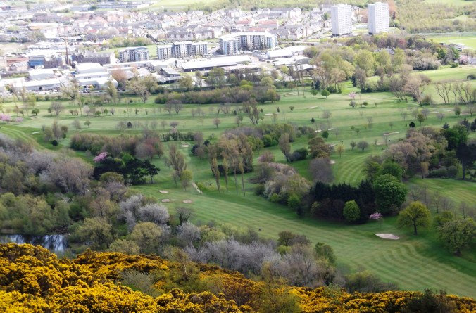golf course 2