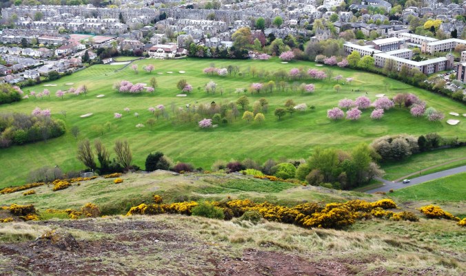 golf course 3