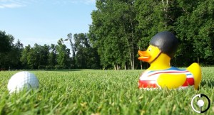 Random Duck Sighting