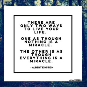 Miracles of life from the Happsters