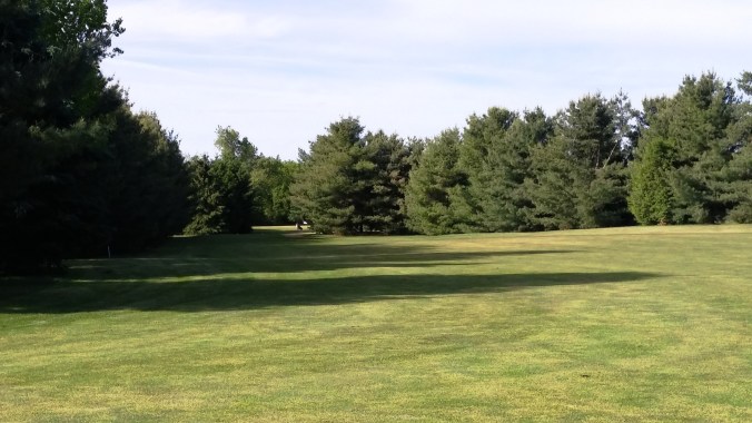 Salt Creek 11 Fair to tee